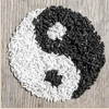 Life Analysis - Feng Shui Service